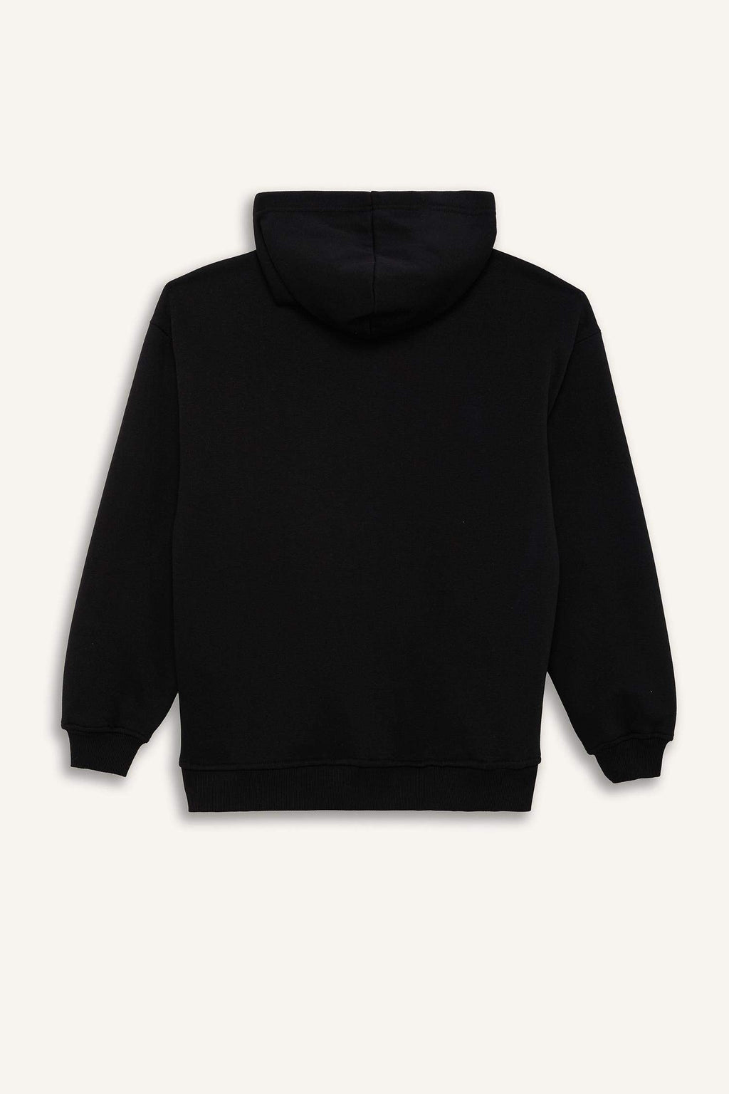 Relax Fit Hooded Basic Plain Thick Sweatshirt