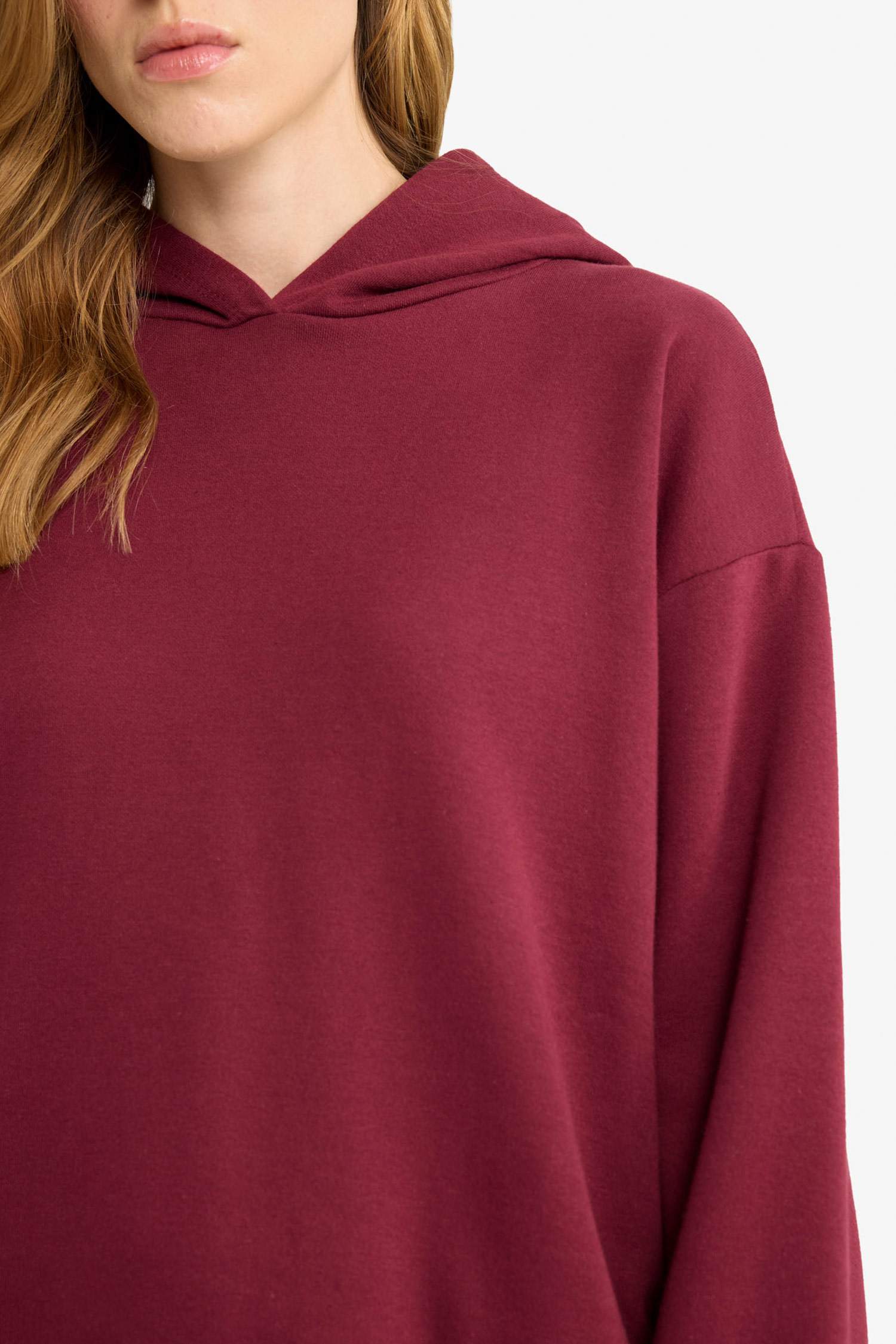 Relax Fit Hooded Basic Plain Thick Sweatshirt