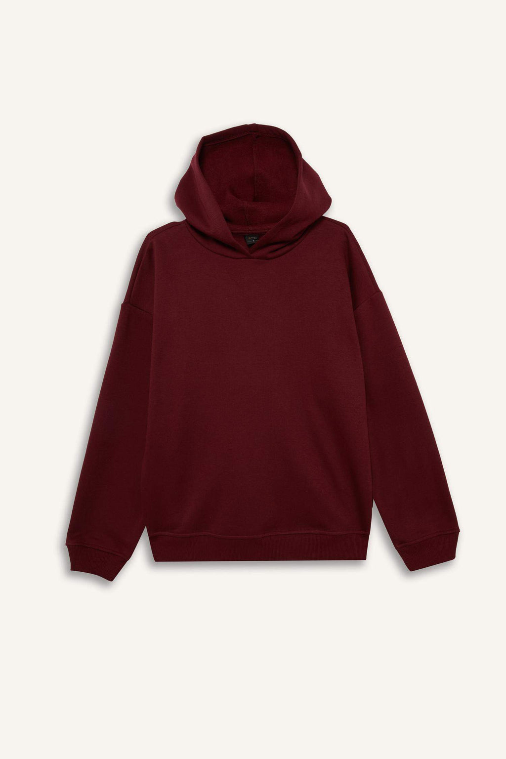 Relax Fit Hooded Basic Plain Thick Sweatshirt