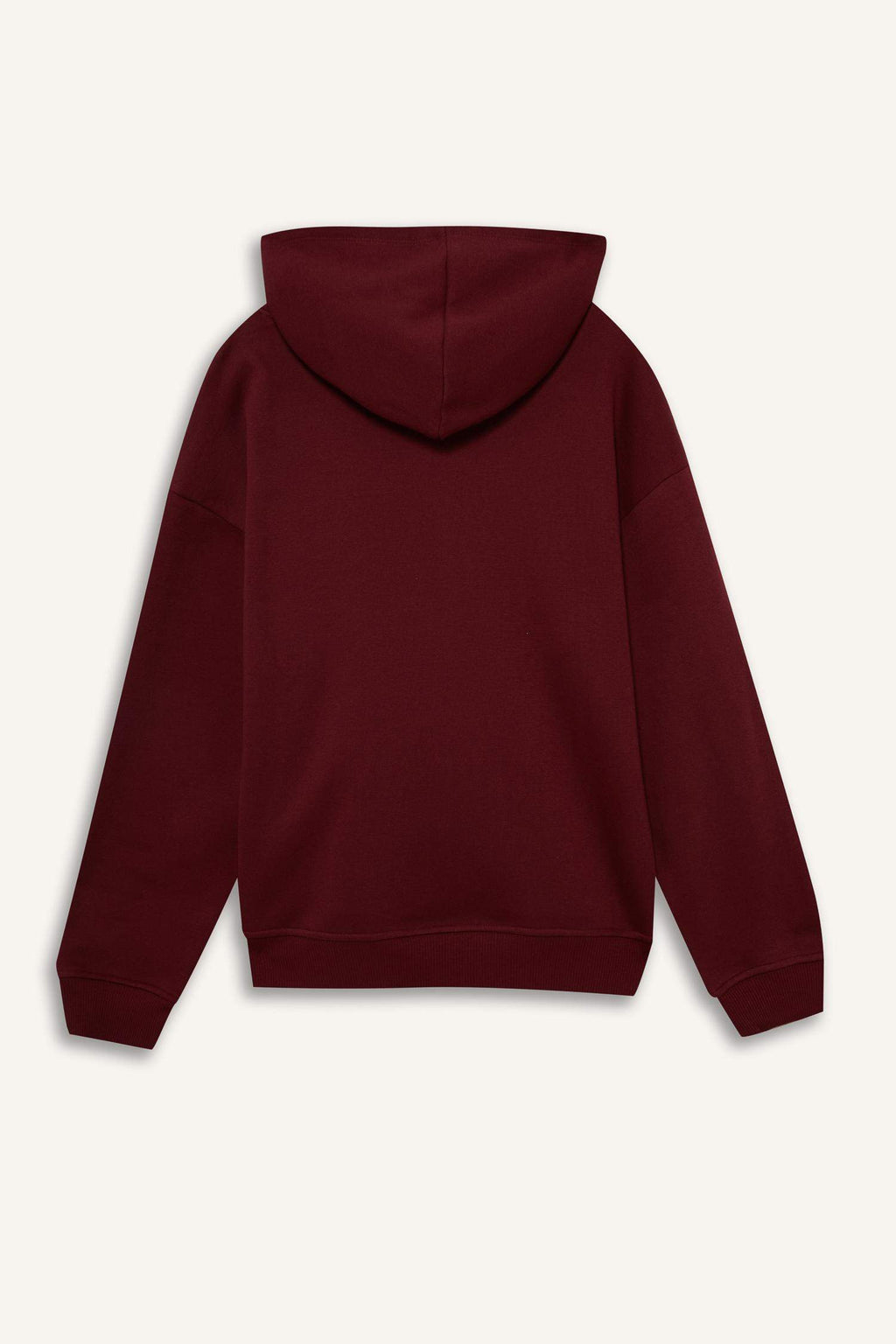 Relax Fit Hooded Basic Plain Thick Sweatshirt