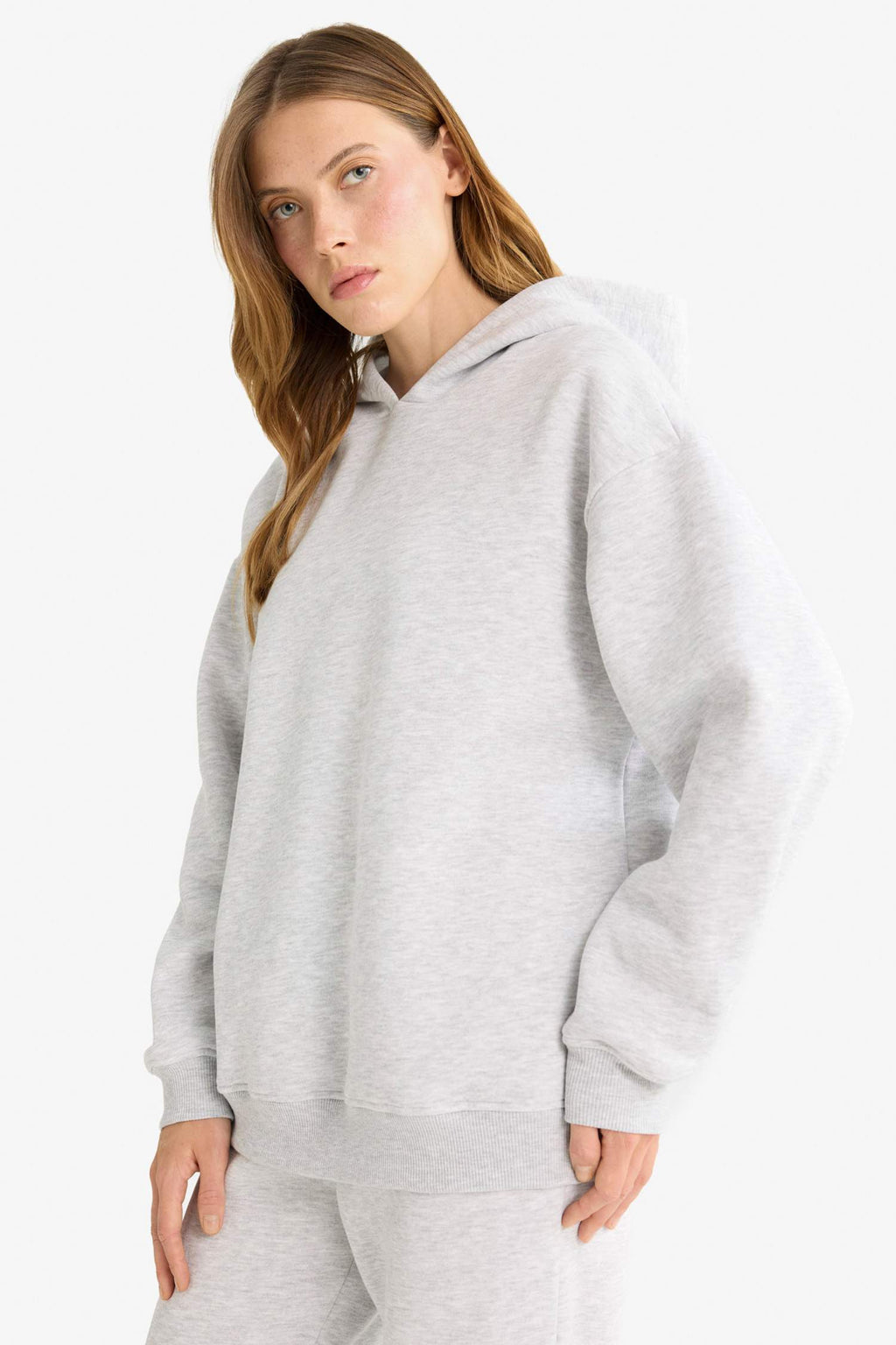 Relax Fit Hooded Basic Plain Thick Sweatshirt