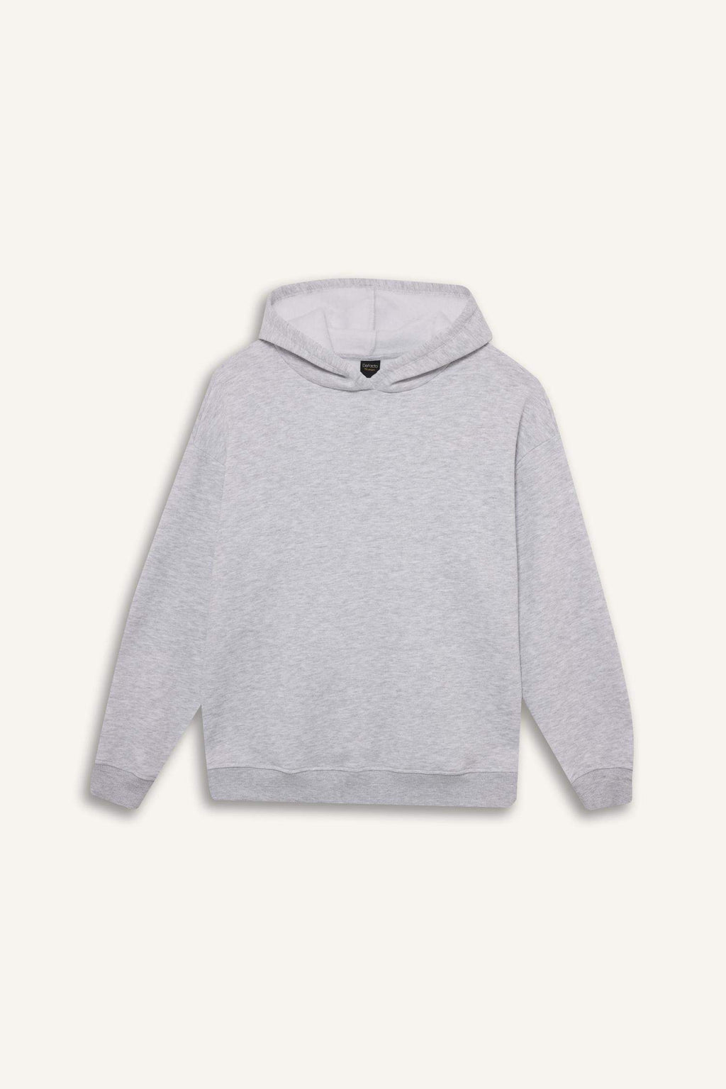 Relax Fit Hooded Basic Plain Thick Sweatshirt