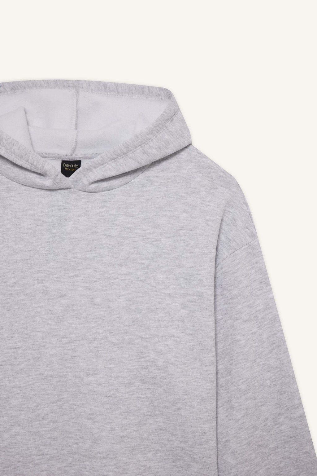 Relax Fit Hooded Basic Plain Thick Sweatshirt