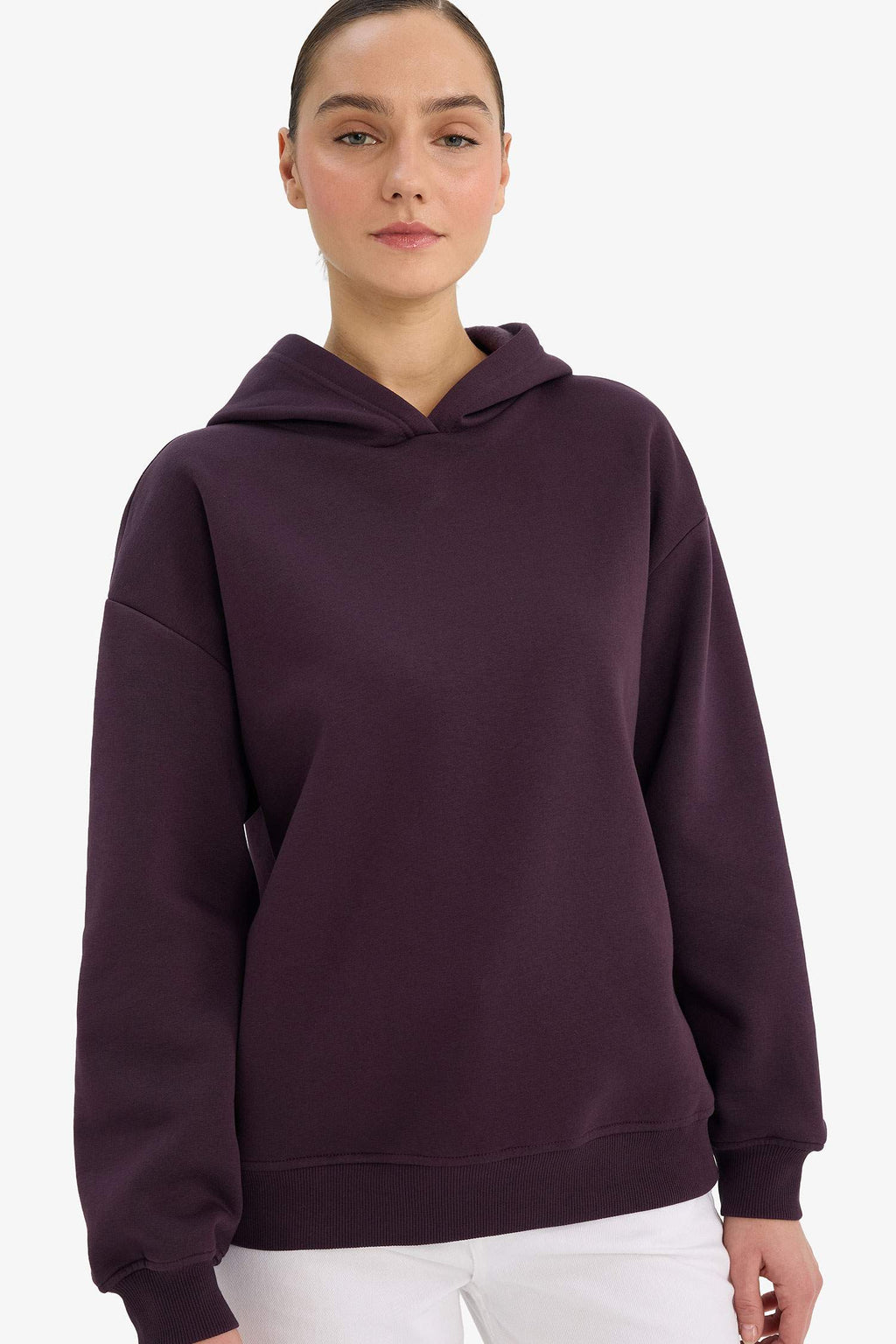 Relax Fit Hooded Basic Plain Thick Sweatshirt