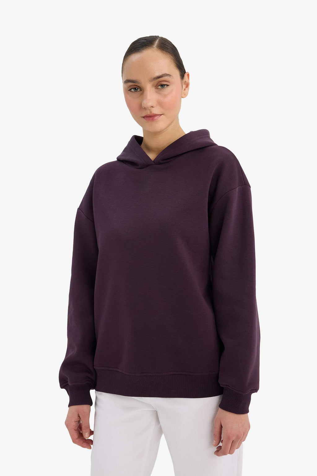 Relax Fit Hooded Basic Plain Thick Sweatshirt