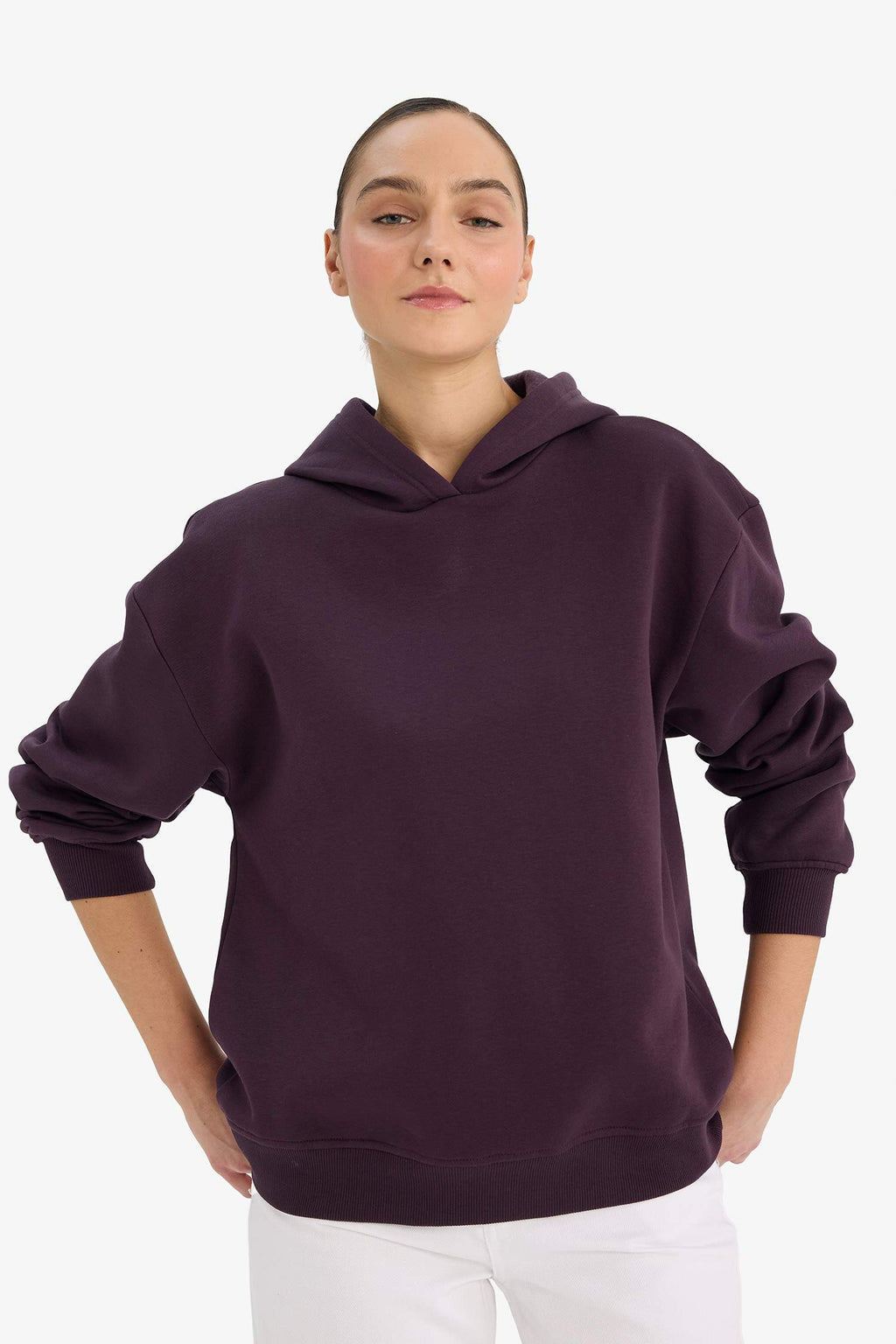Relax Fit Hooded Basic Plain Thick Sweatshirt