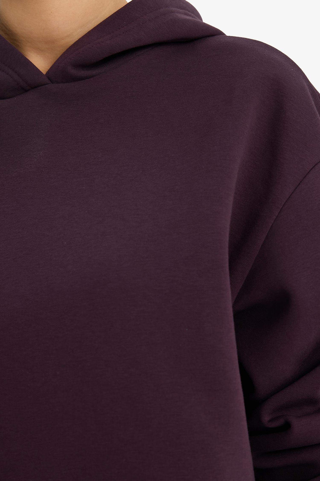 Relax Fit Hooded Basic Plain Thick Sweatshirt