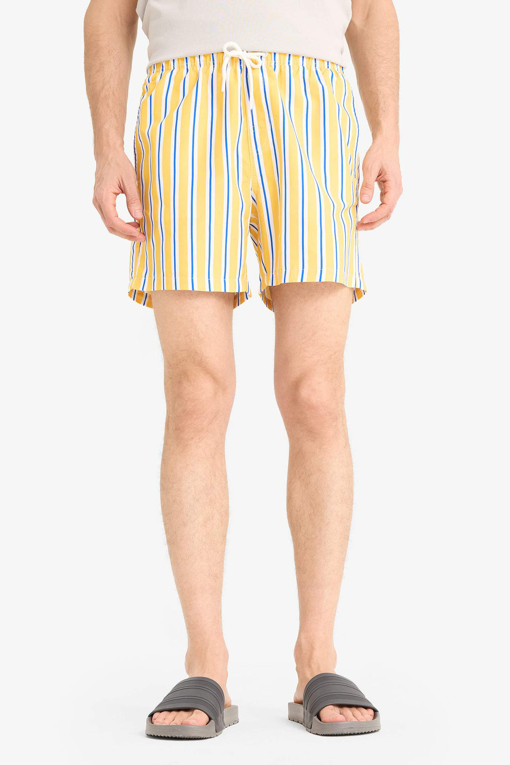 Striped Mesh Lined Short Length Swim Shorts