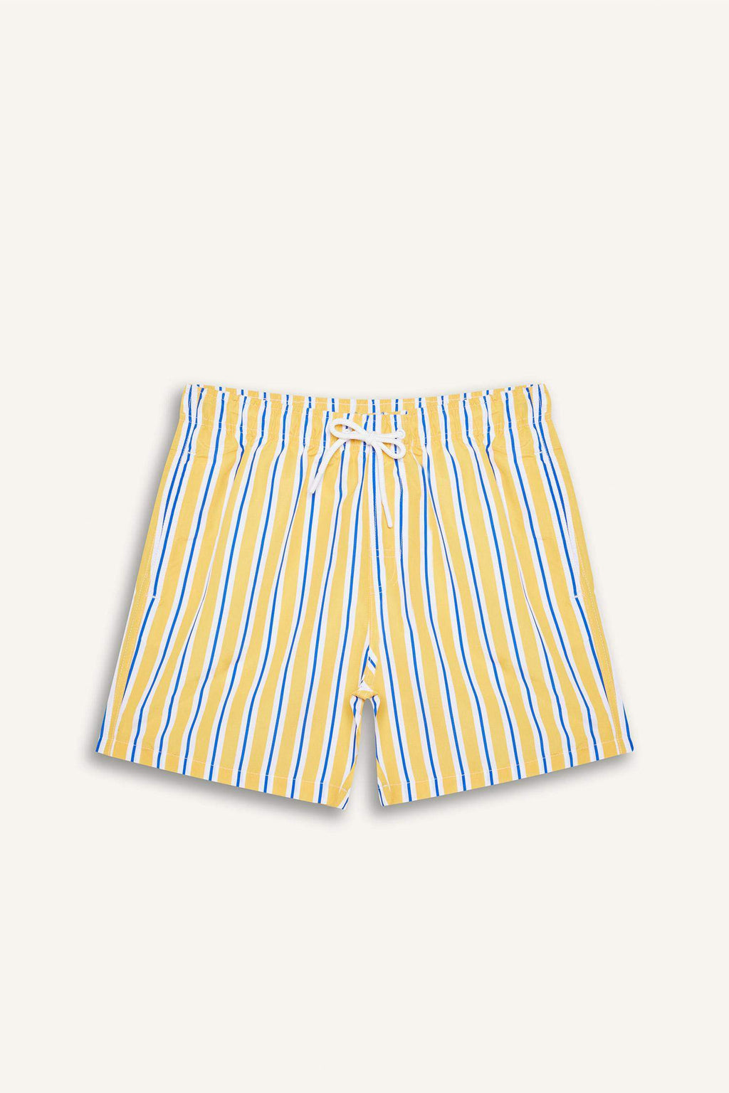 Striped Mesh Lined Short Length Swim Shorts