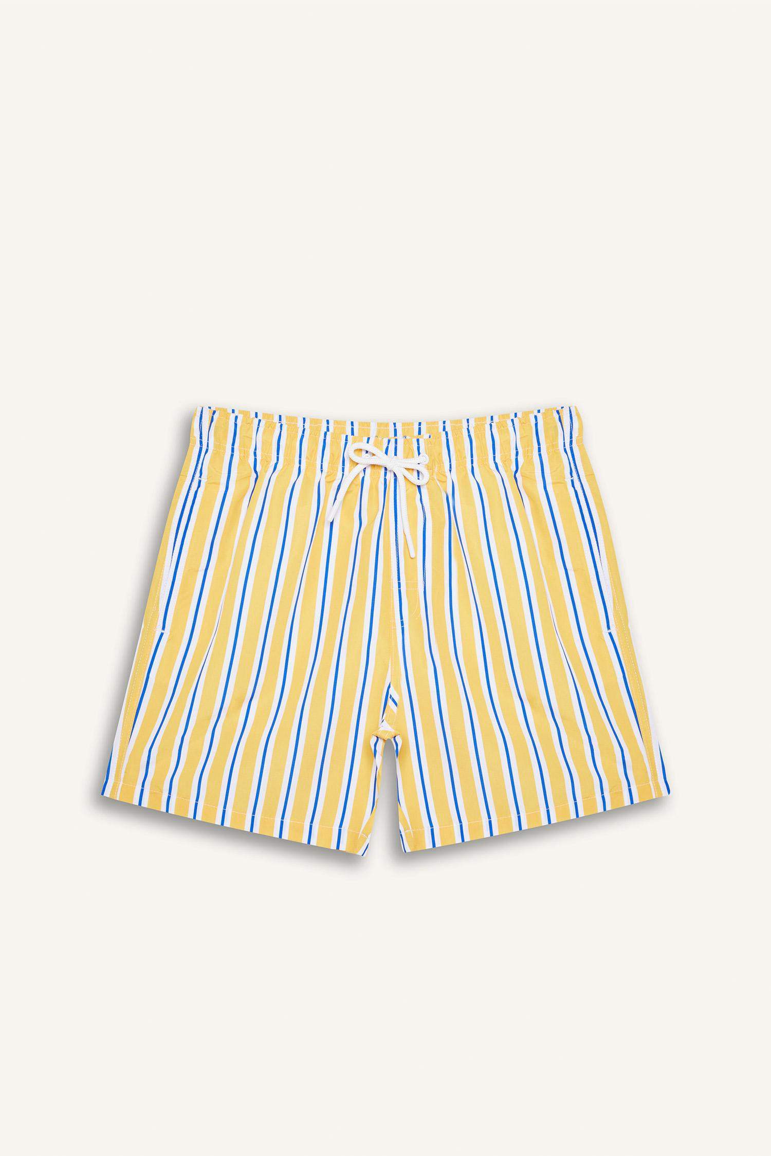 Striped Mesh Lined Short Length Swim Shorts