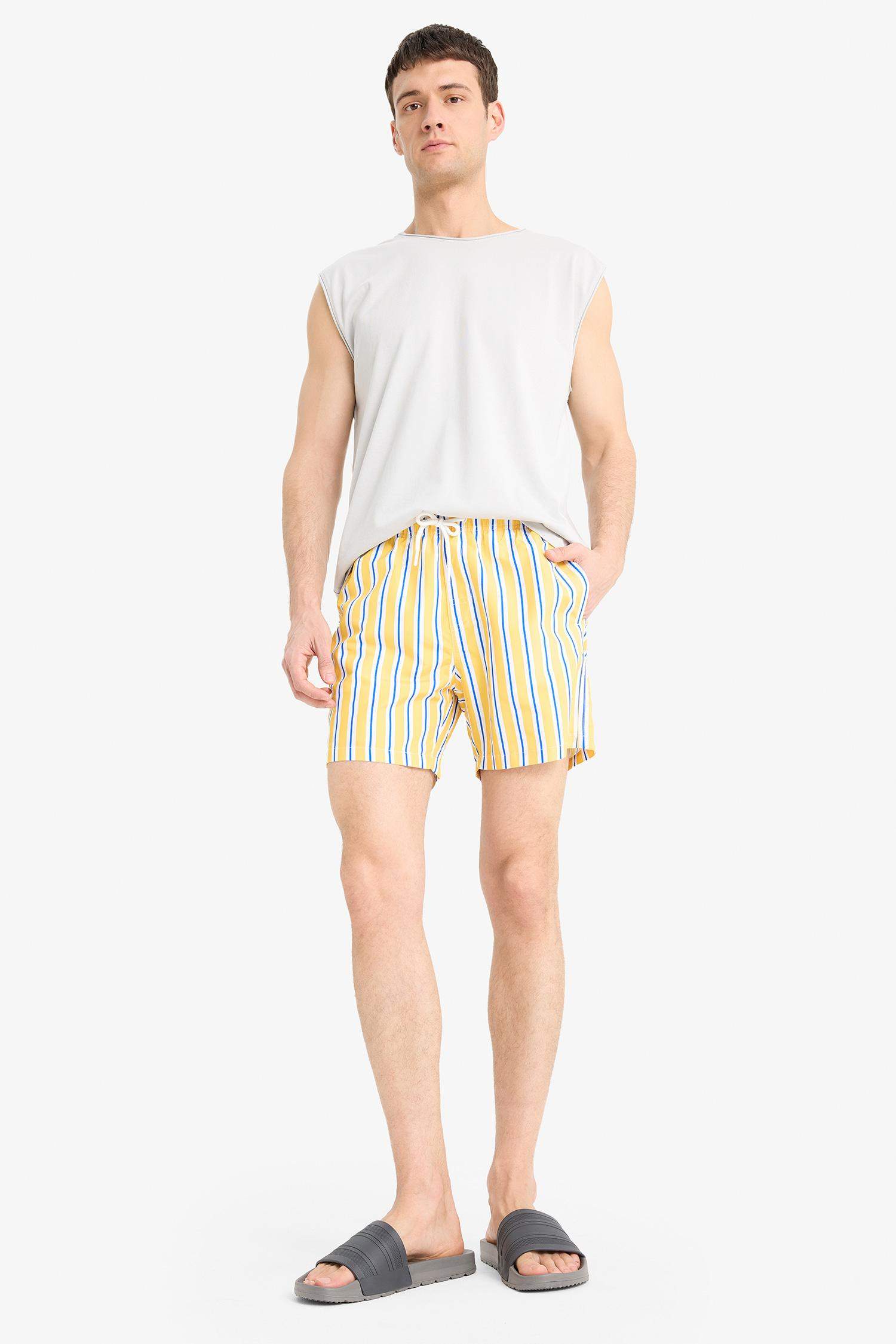 Striped Mesh Lined Short Length Swim Shorts
