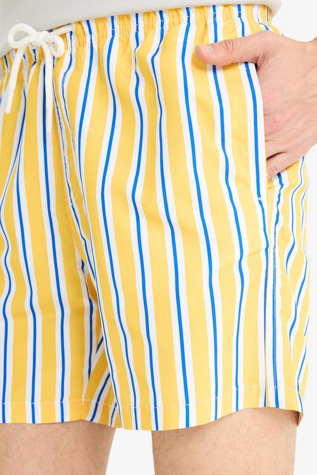 Striped Mesh Lined Short Length Swim Shorts Main Image