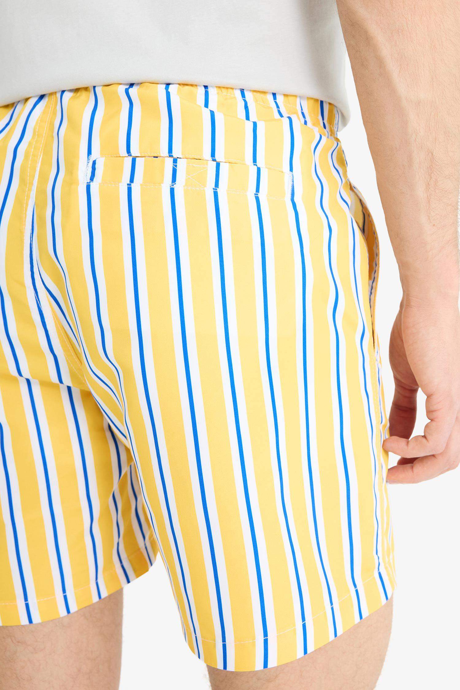 Striped Mesh Lined Short Length Swim Shorts