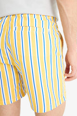 Striped Mesh Lined Short Length Swim Shorts