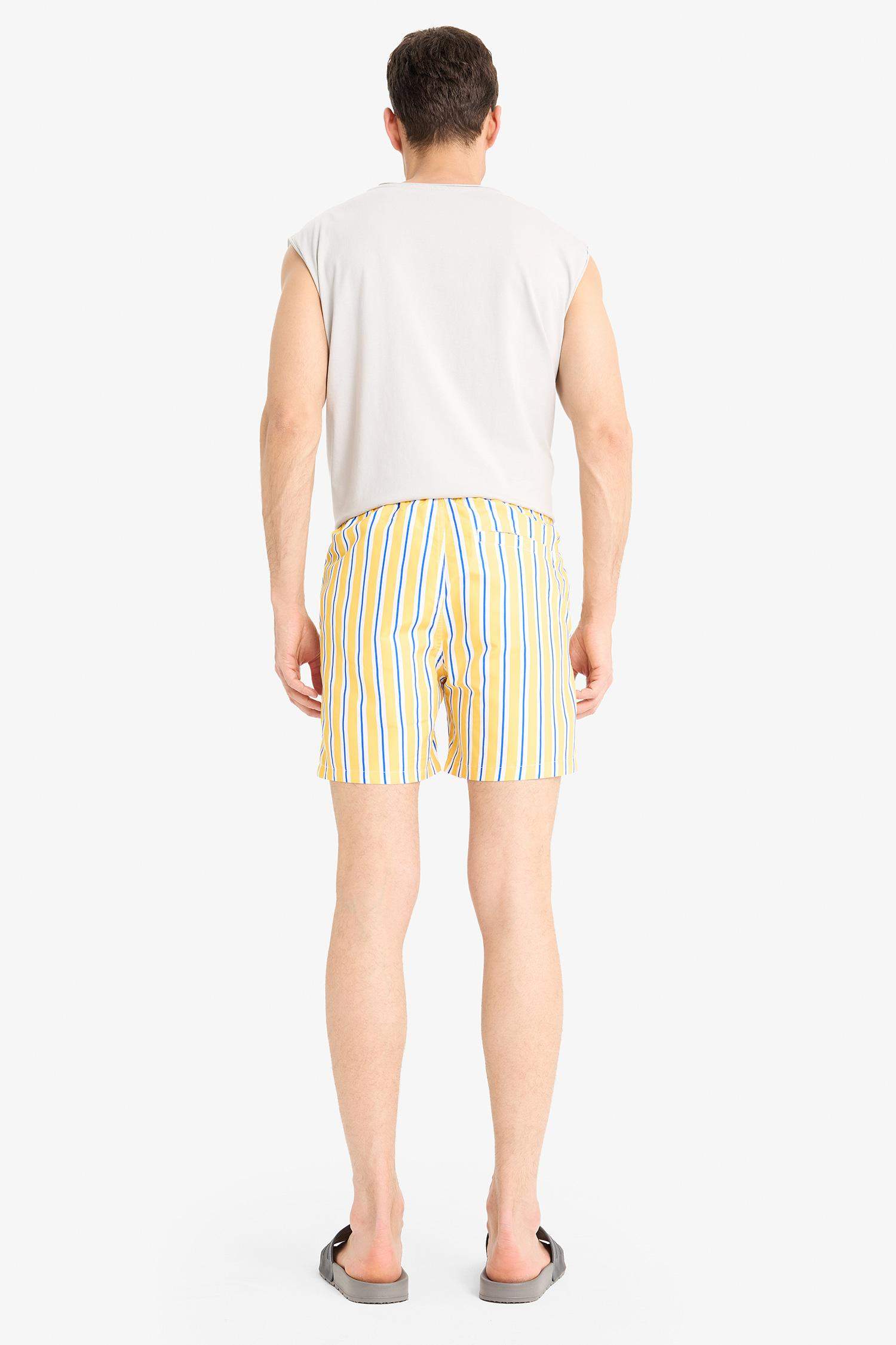 Striped Mesh Lined Short Length Swim Shorts