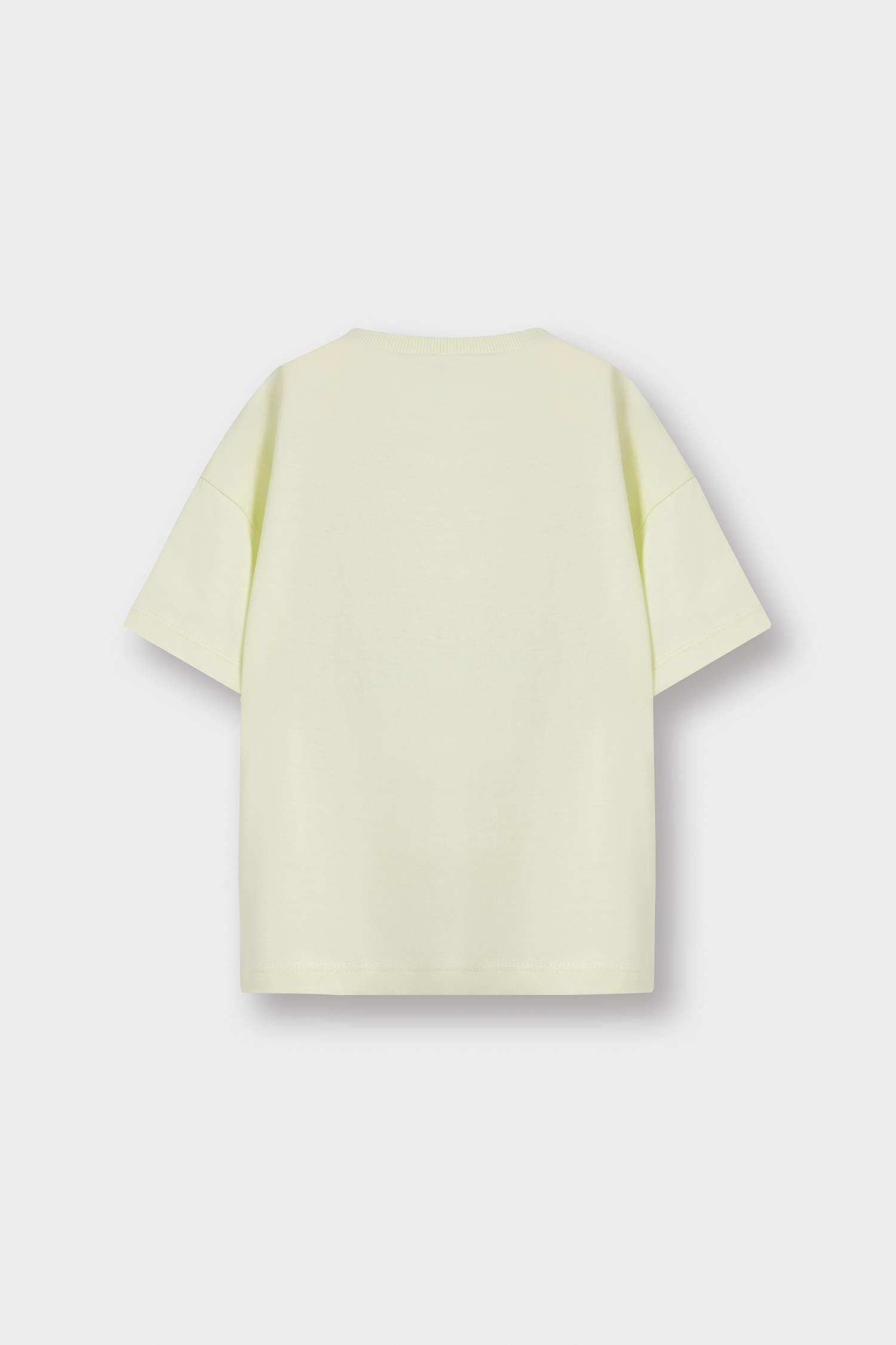 Baby Boy Crew Neck Printed Short Sleeve T-Shirt