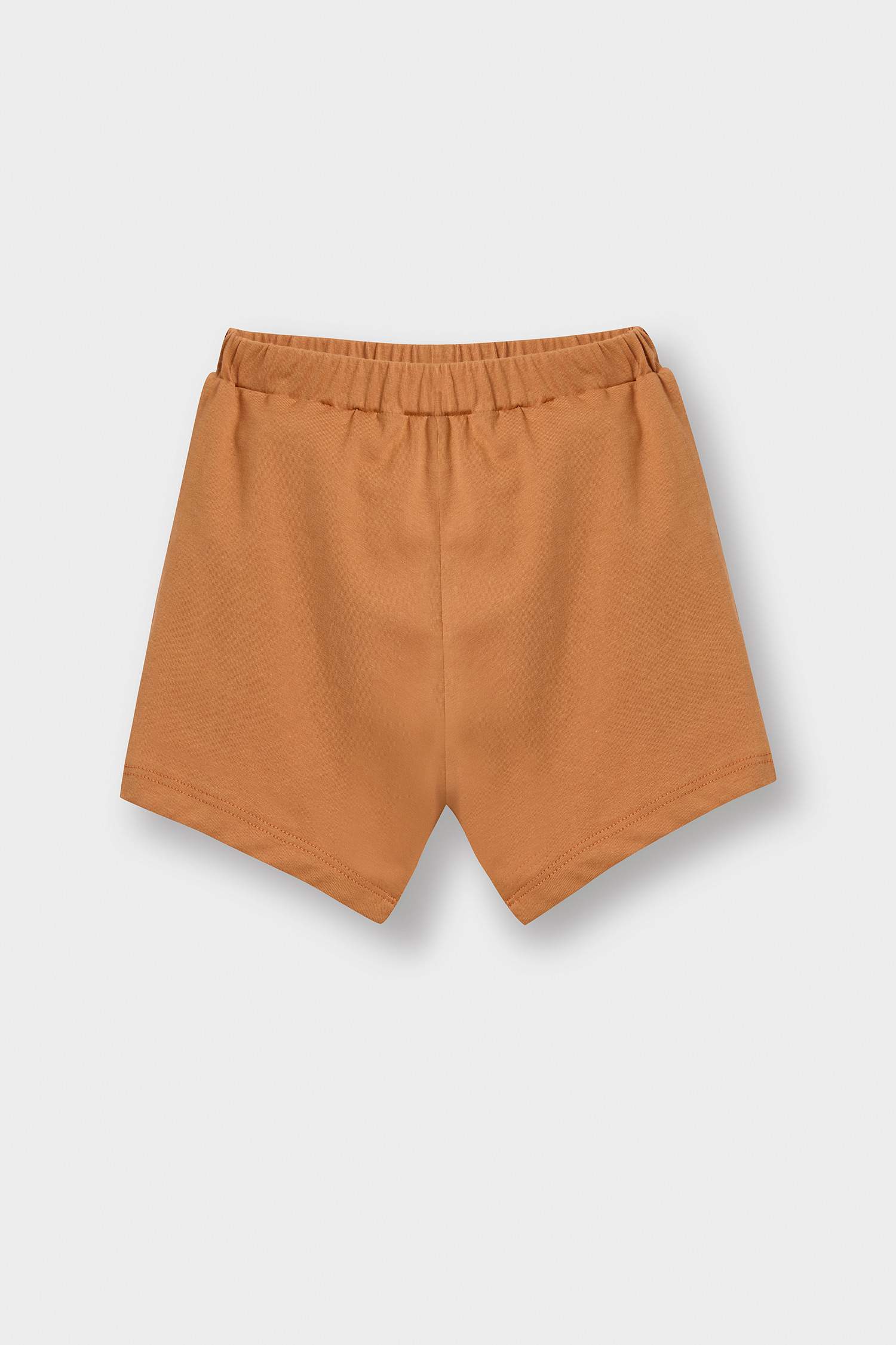 Baby Boy 2-Piece Set Lion Printed Short Sleeve T-Shirt Flexible Waist Shorts