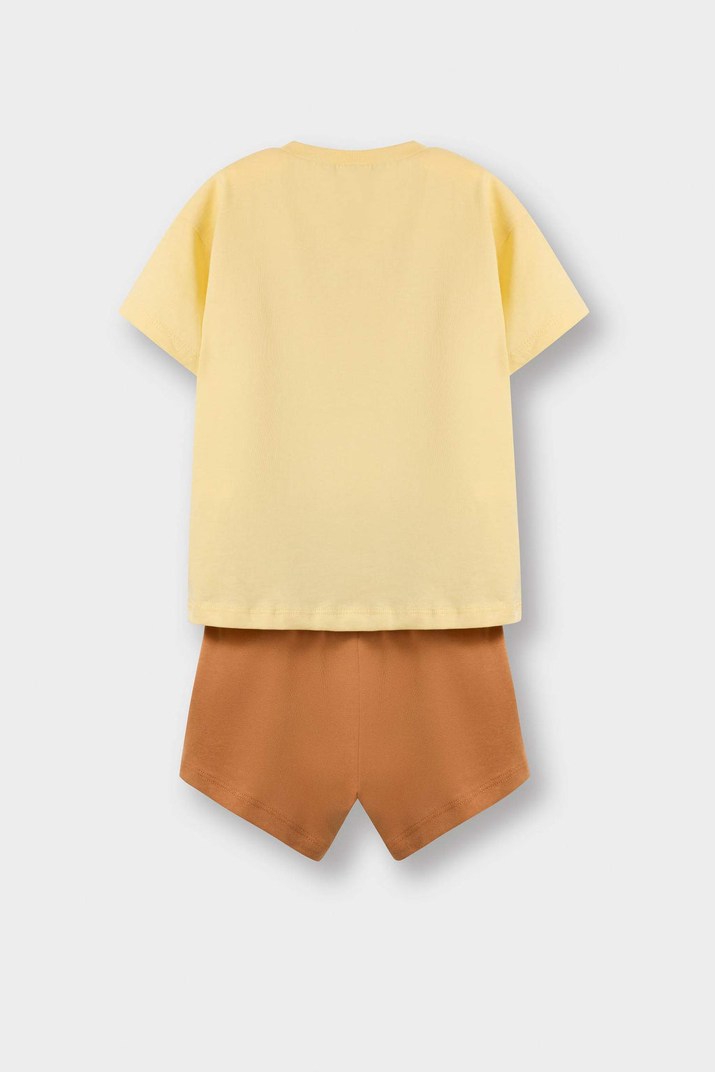 Baby Boy 2-Piece Set Lion Printed Short Sleeve T-Shirt Flexible Waist Shorts