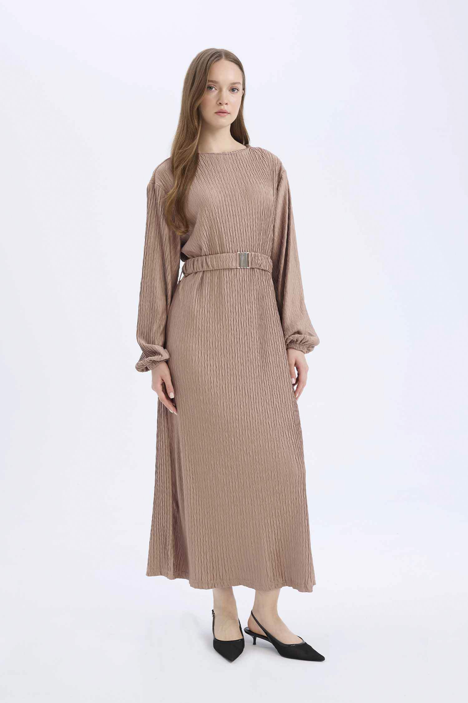 Regular Fit Crew Neck Pleat Dress