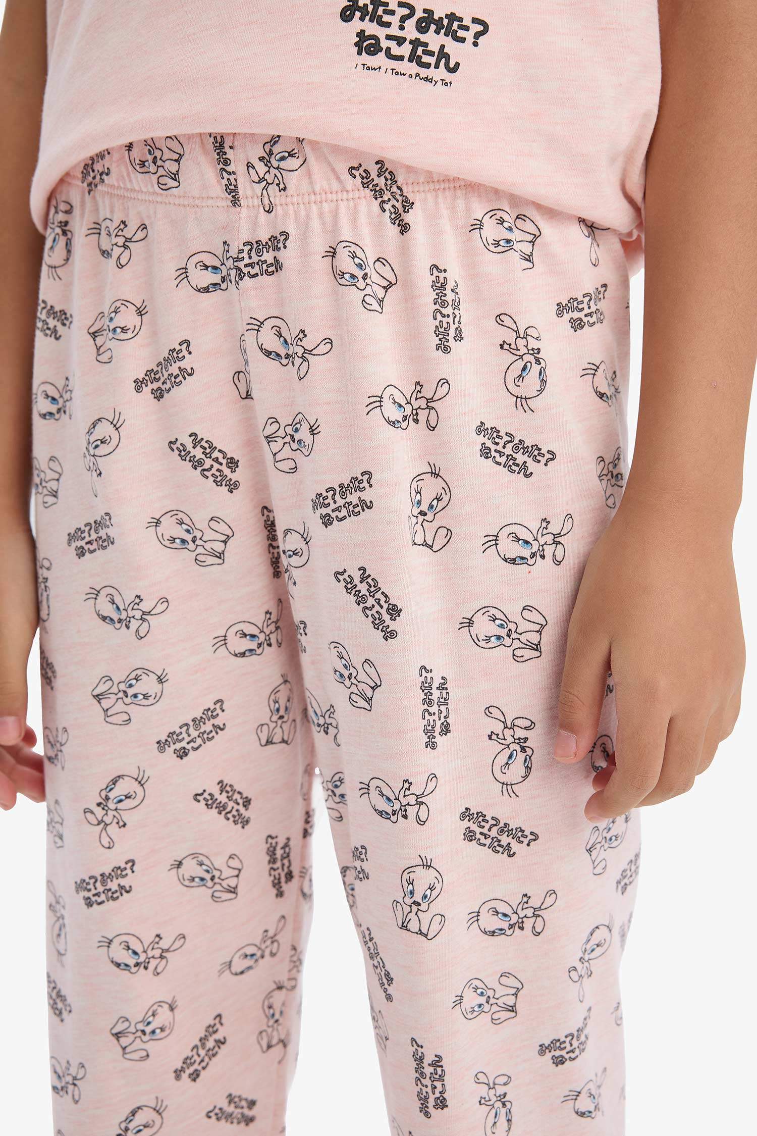 Girls Looney Tunes Pajama Set Short Sleeve Top and Elastic Waist Long Bottom