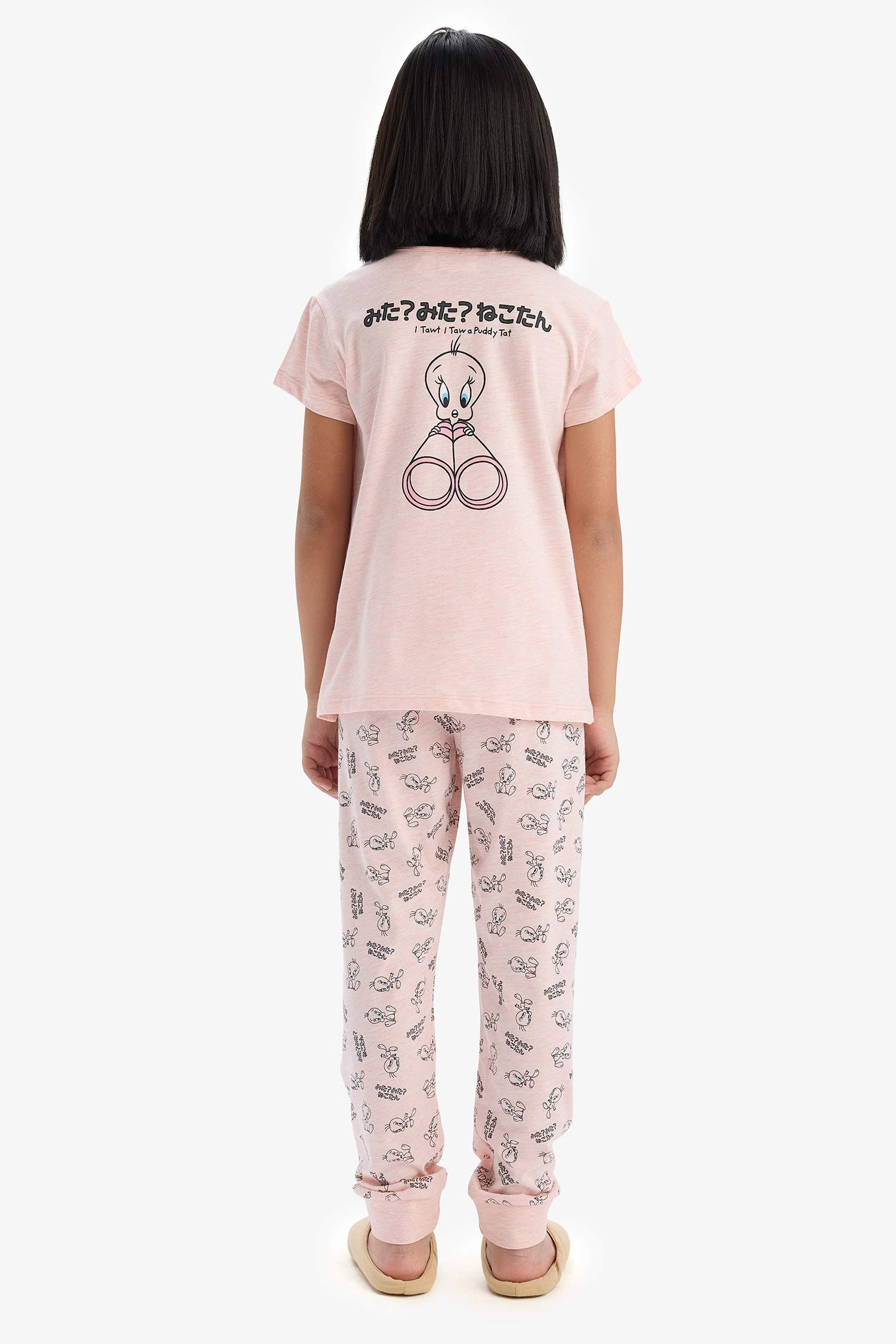 Girls Looney Tunes Pajama Set Short Sleeve Top and Elastic Waist Long Bottom