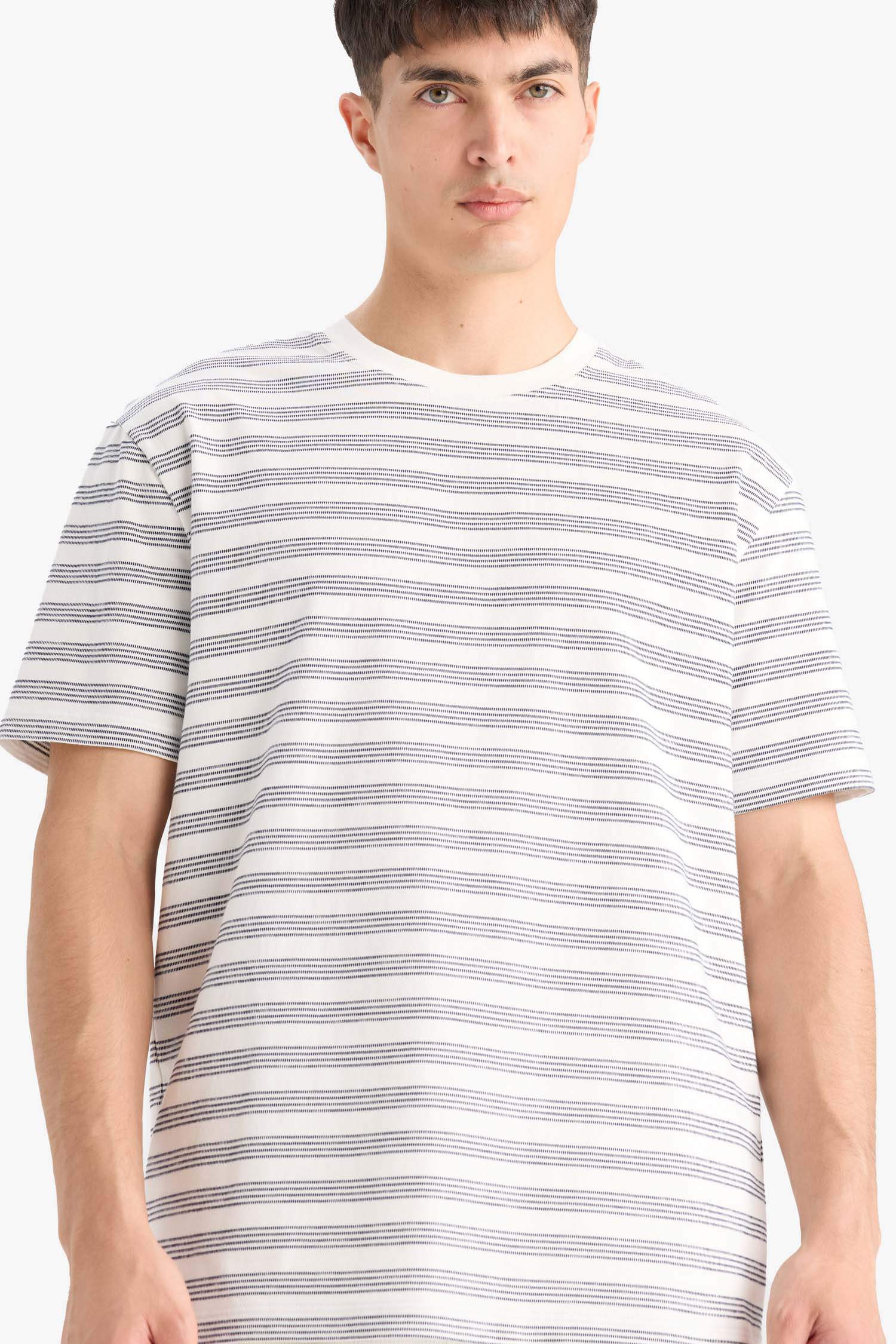 Regular Fit Crew Neck Short Sleeve Striped T-Shirt