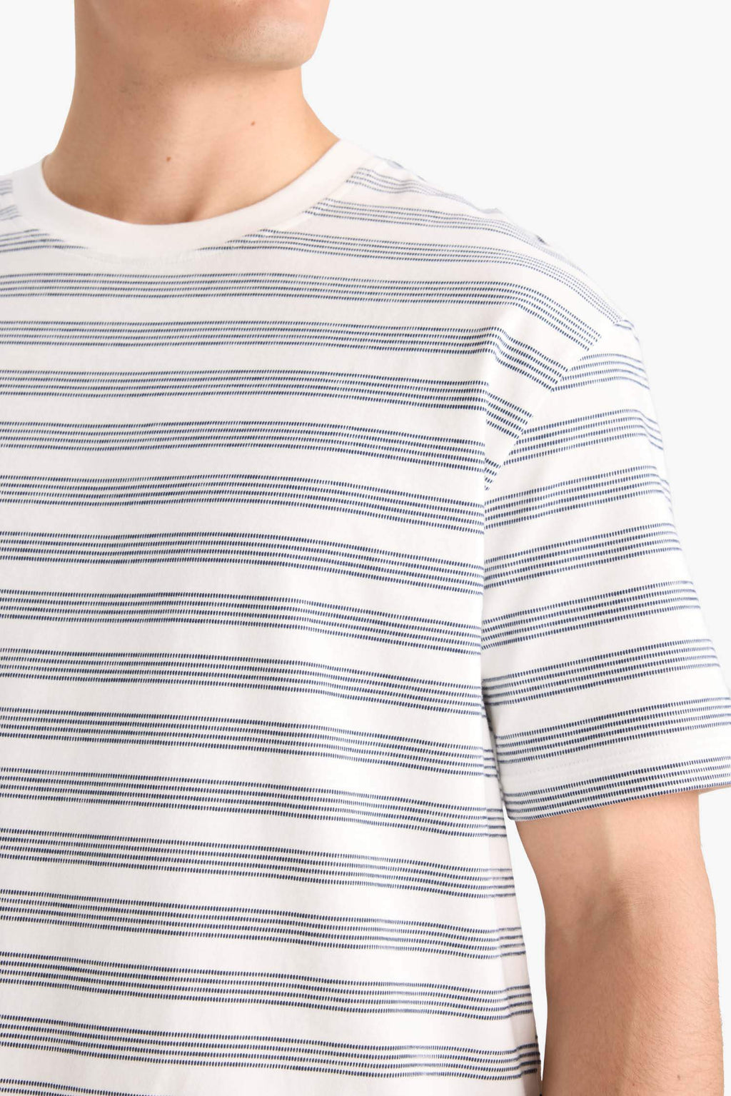 Regular Fit Crew Neck Short Sleeve Striped T-Shirt