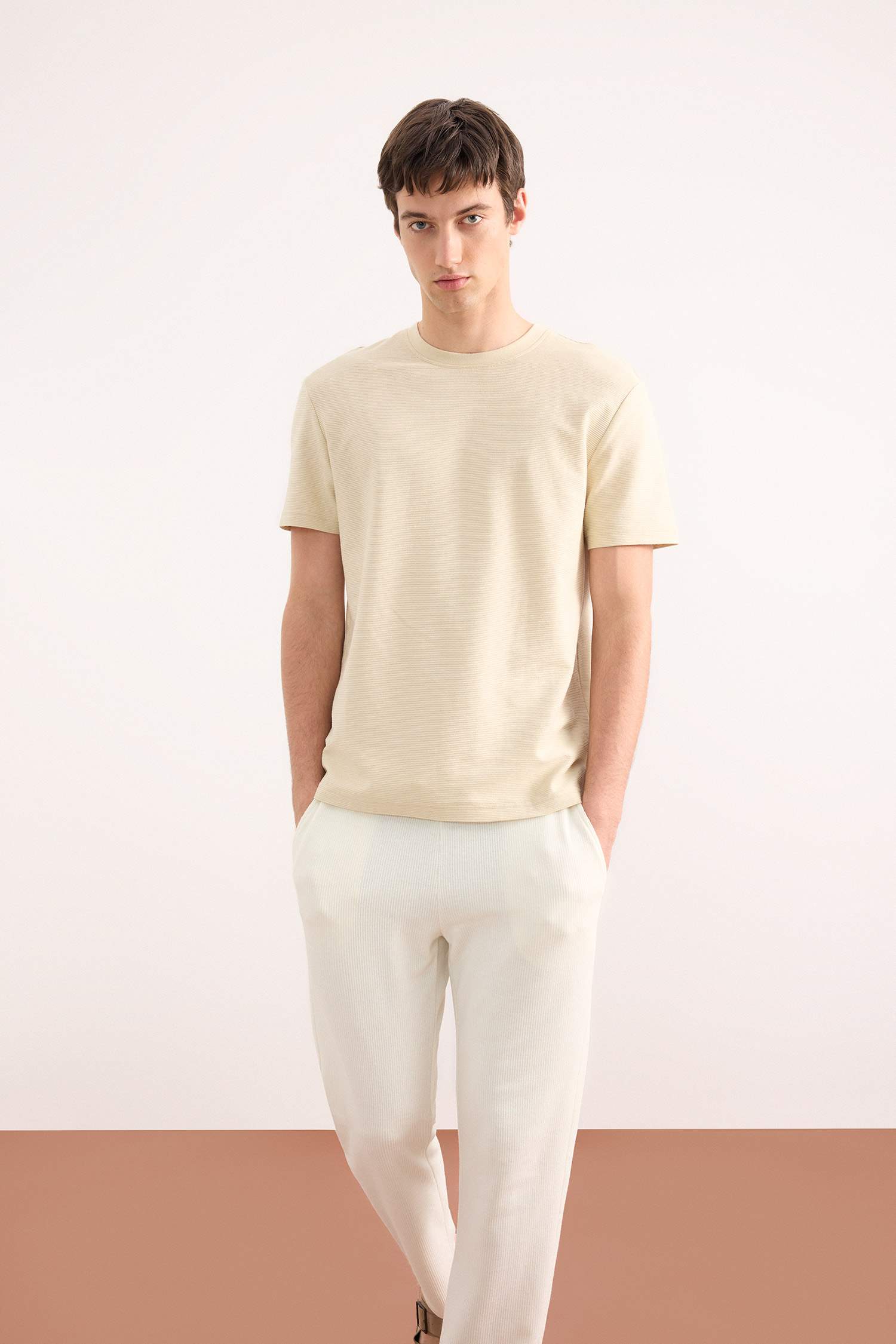 Regular Fit T-Shirt With A Round Neck And Short Sleeves