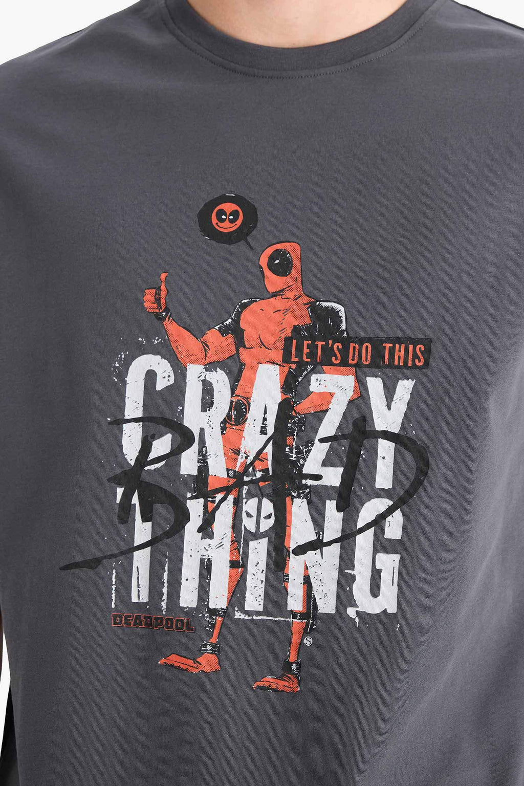 Regular Fit Crew Neck Printed T-Shirt