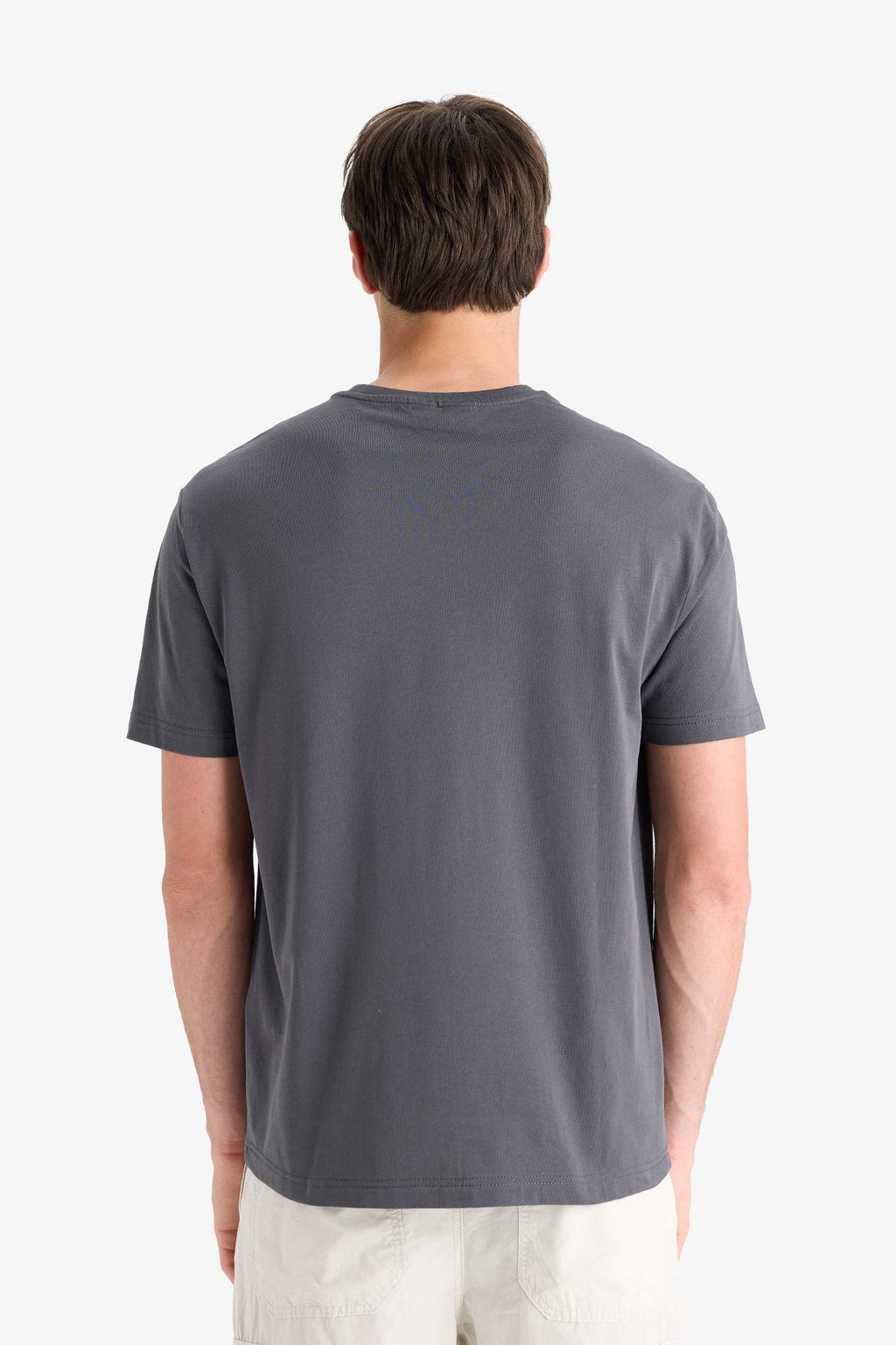 Regular Fit Crew Neck Printed T-Shirt