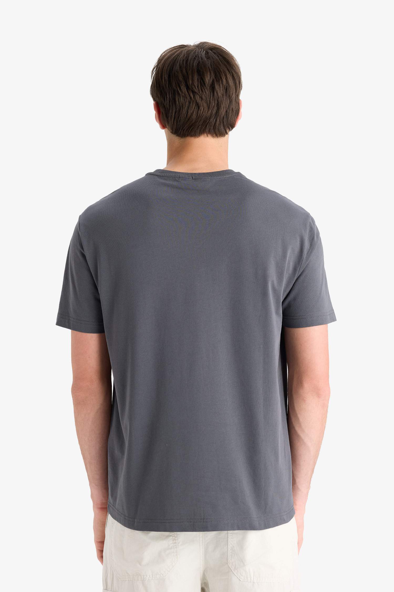 Regular Fit Crew Neck Printed T-Shirt