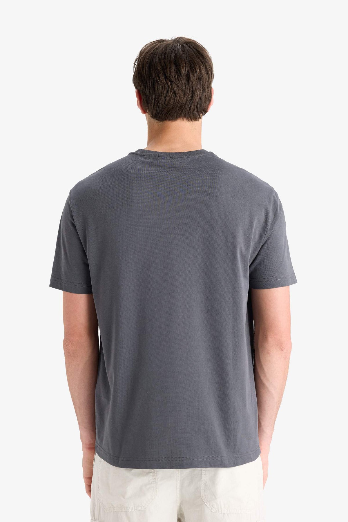 Regular Fit Crew Neck Printed T-Shirt