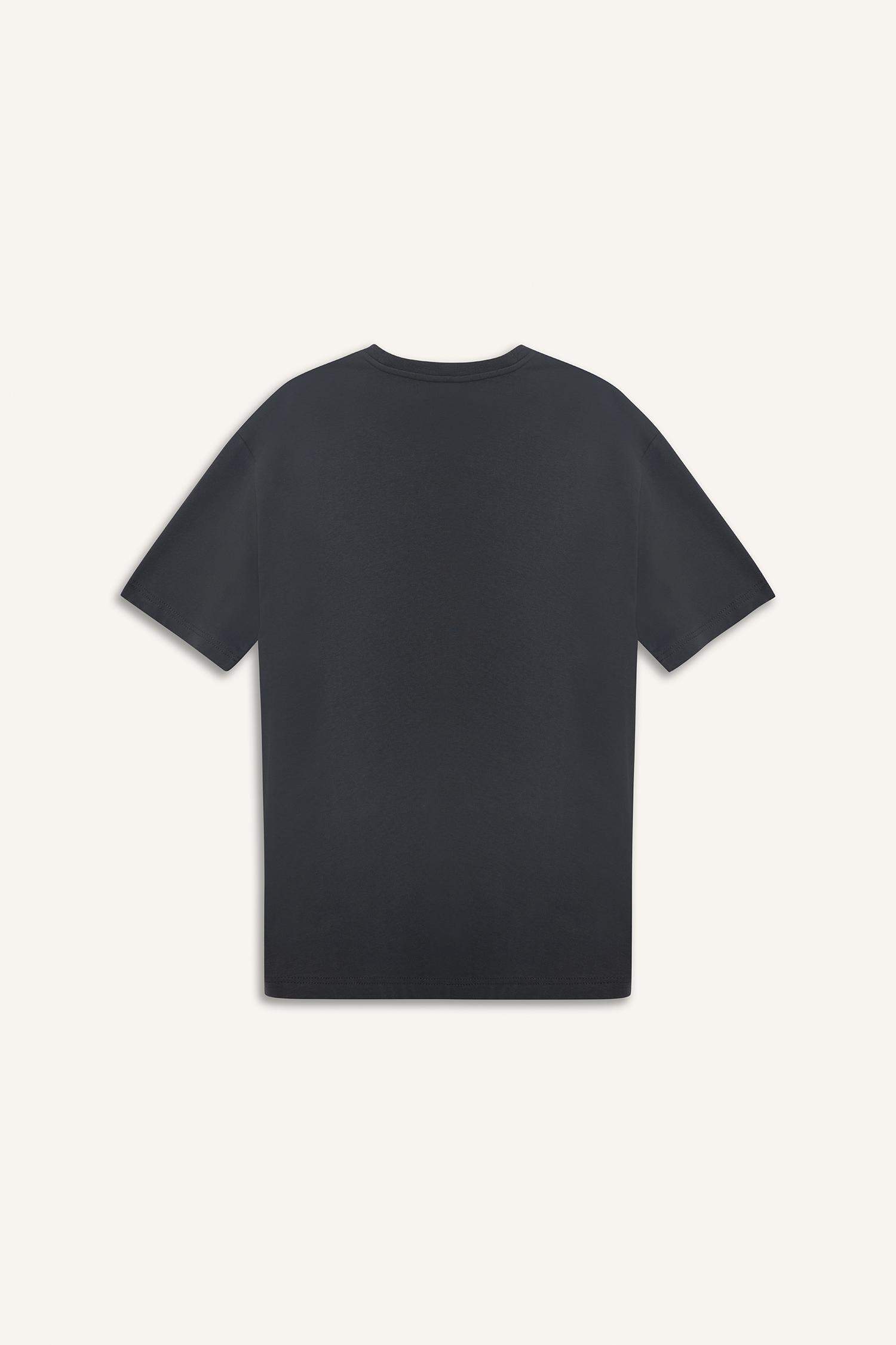 Regular Fit Crew Neck Printed T-Shirt