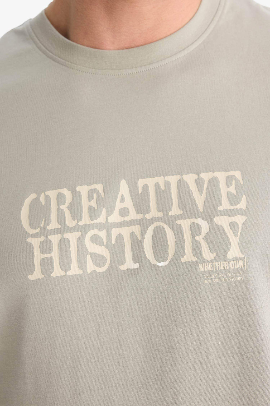 100% Cotton Regular Fit Crew Neck Printed Short Sleeve T-Shirt