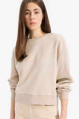 Boxy Fit Crew Neck Basic Plain Thick Sweatshirt