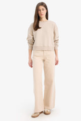 Boxy Fit Crew Neck Basic Plain Thick Sweatshirt