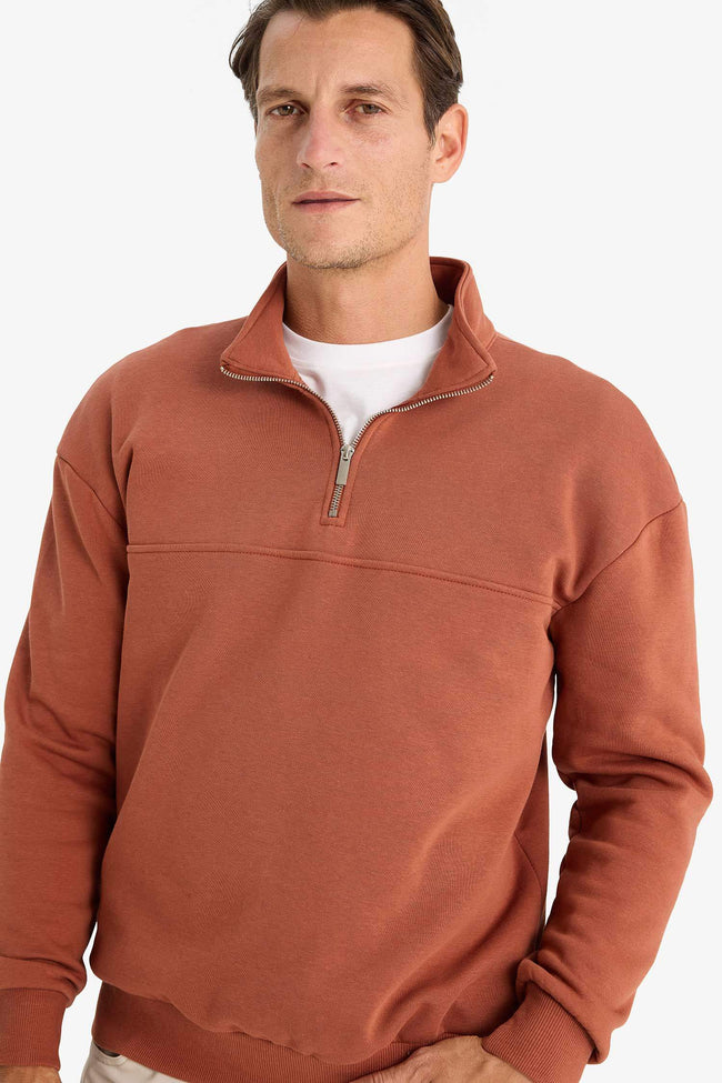Relax Fit Stand Collar Zippered Basic Plain Thick Sweatshirt Hover Image