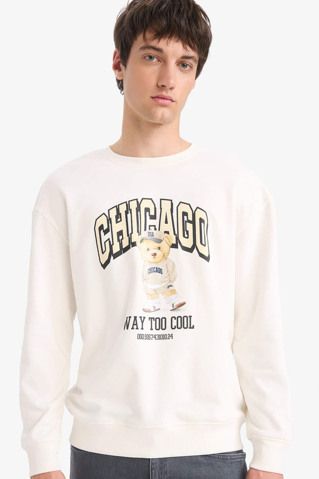 Boxy Fit Crew Neck Printed Sweatshirt Hover Image