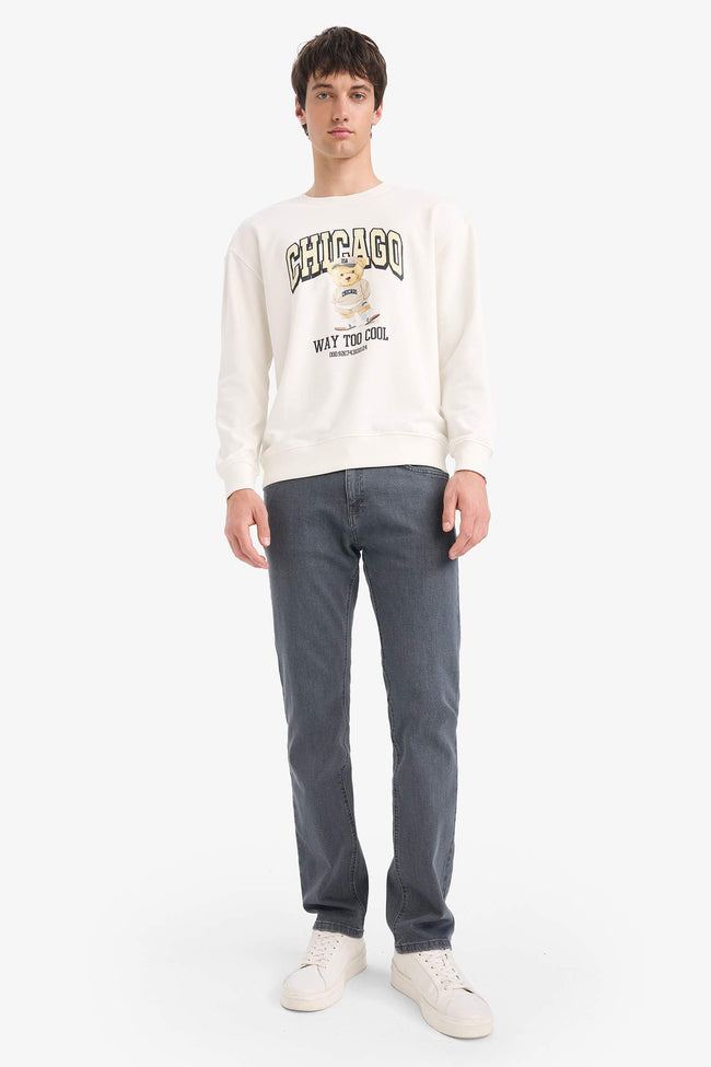 Boxy Fit Crew Neck Printed Sweatshirt Main Image