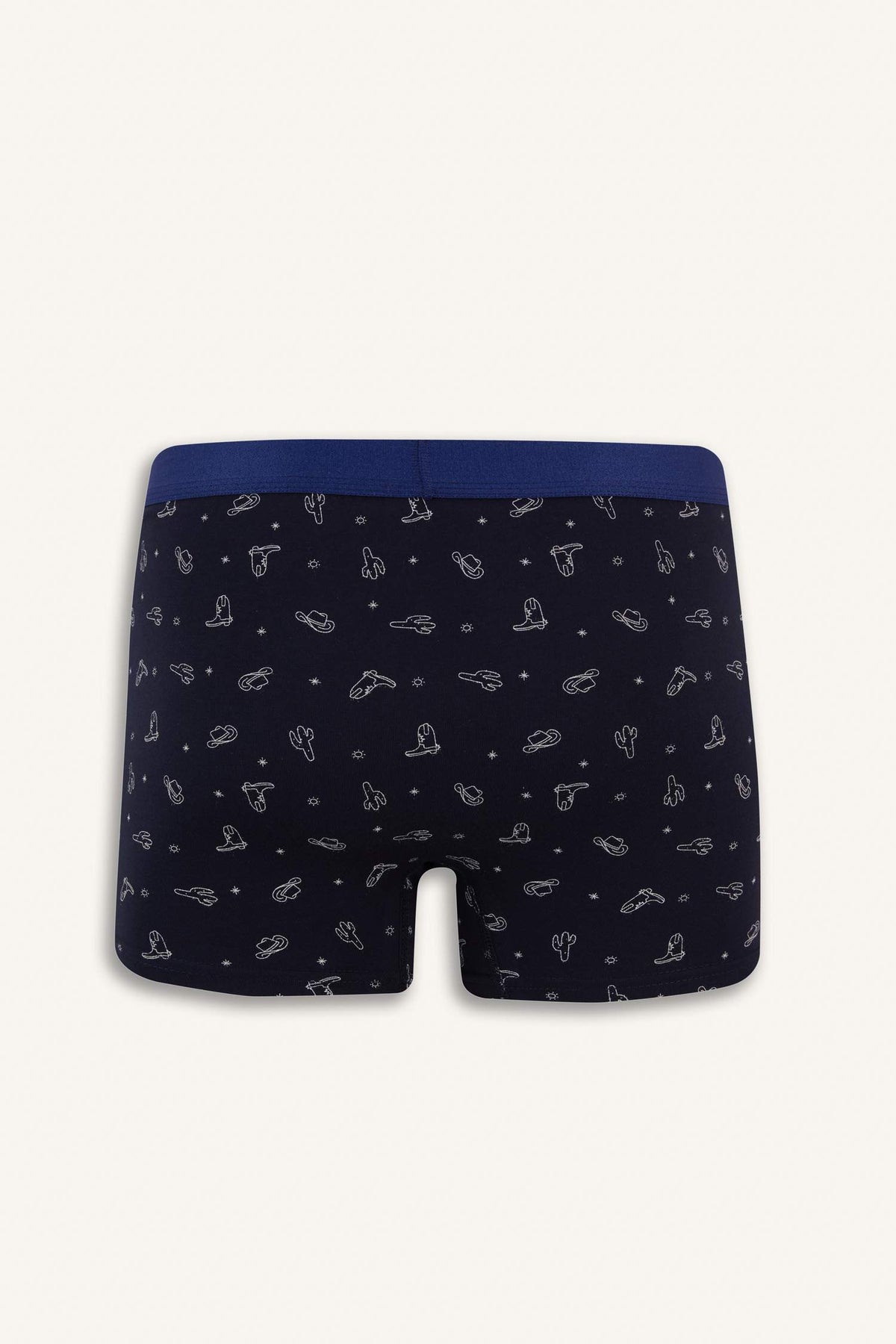 Regular Fit Cactus Patterned 3-Piece Boxer