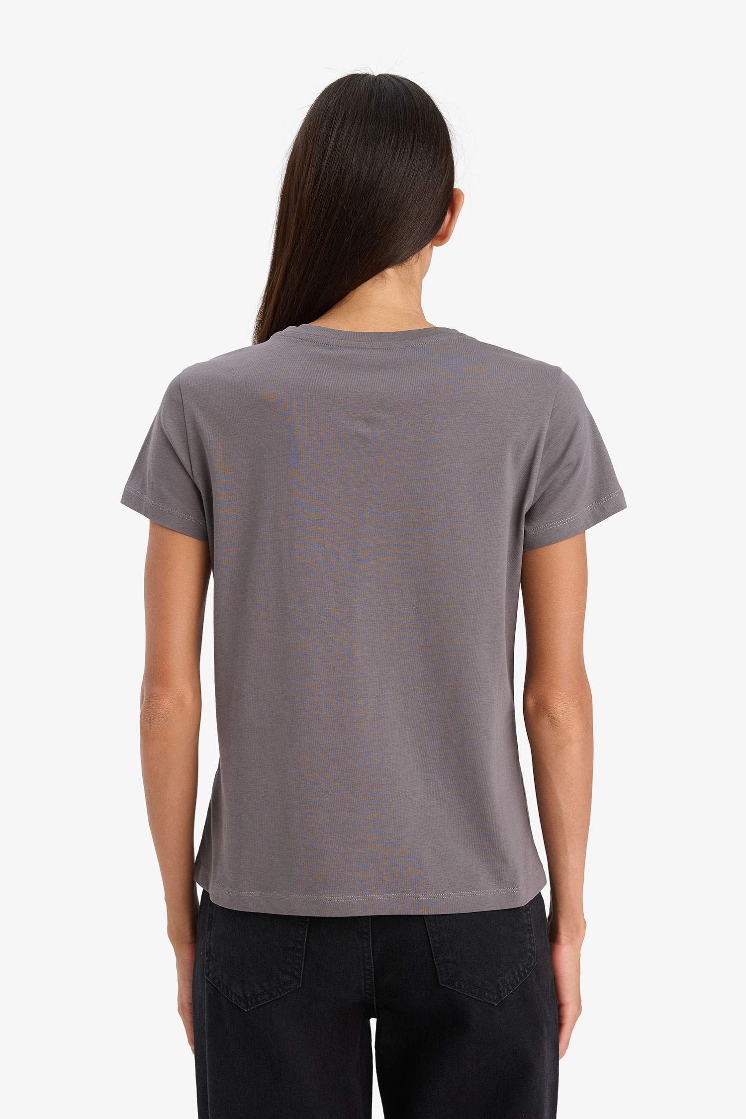 Regular Fit Half-Sleeve T-Shirt With Round Neck