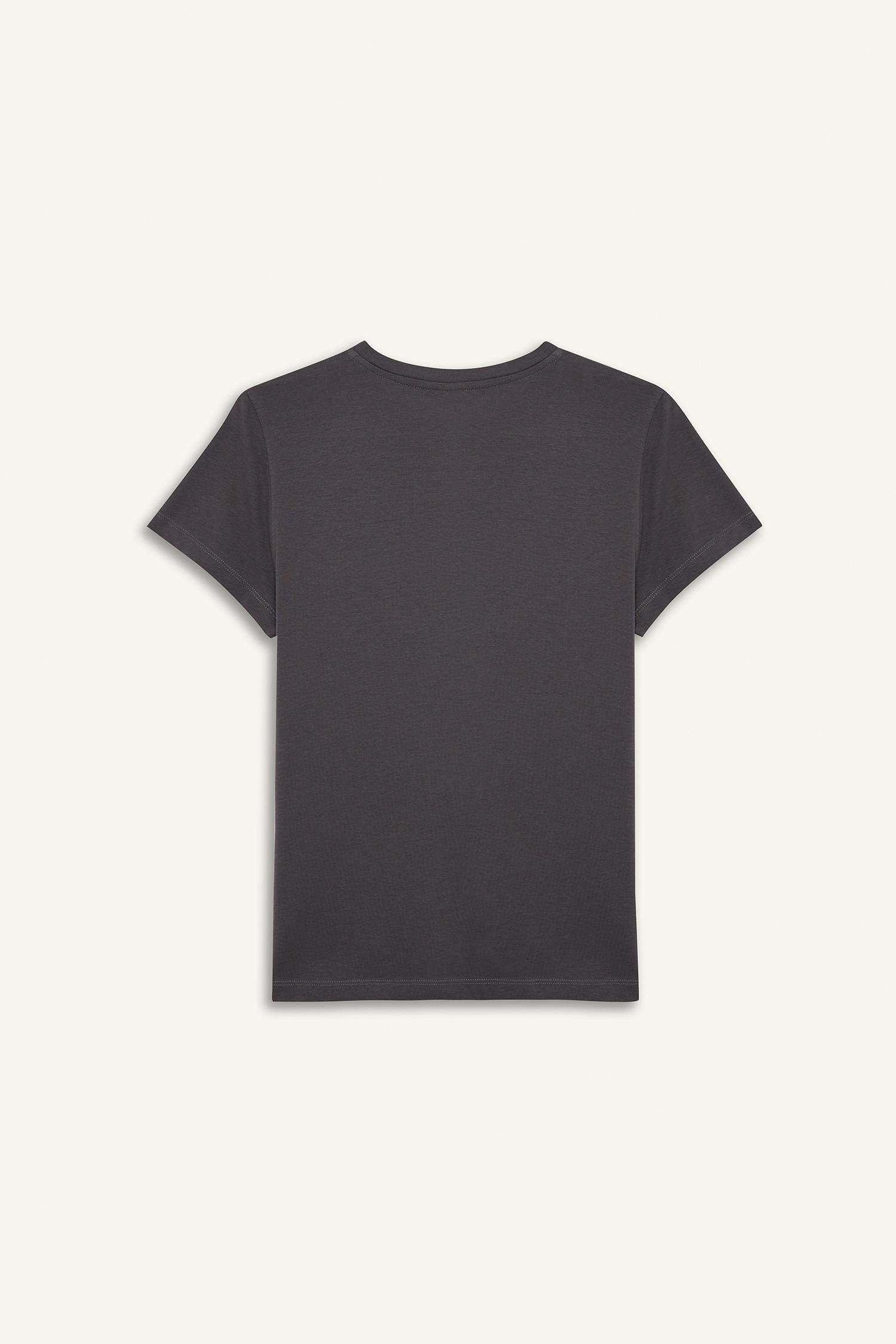Regular Fit Half-Sleeve T-Shirt With Round Neck