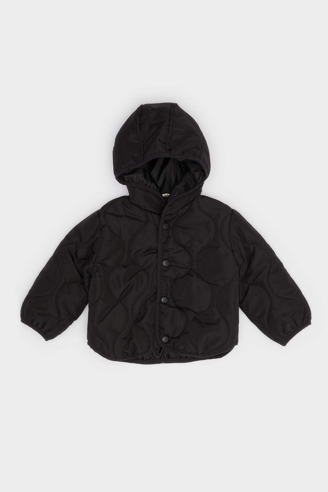 Baby Boy Waterproof Hooded Snap-Button Quilted Jacket Hover Image