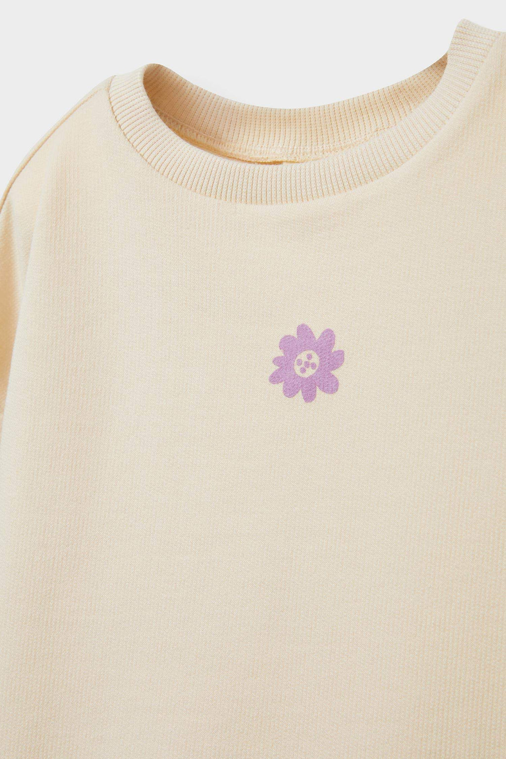 Baby Girl Crew Neck Floral Sweatshirt