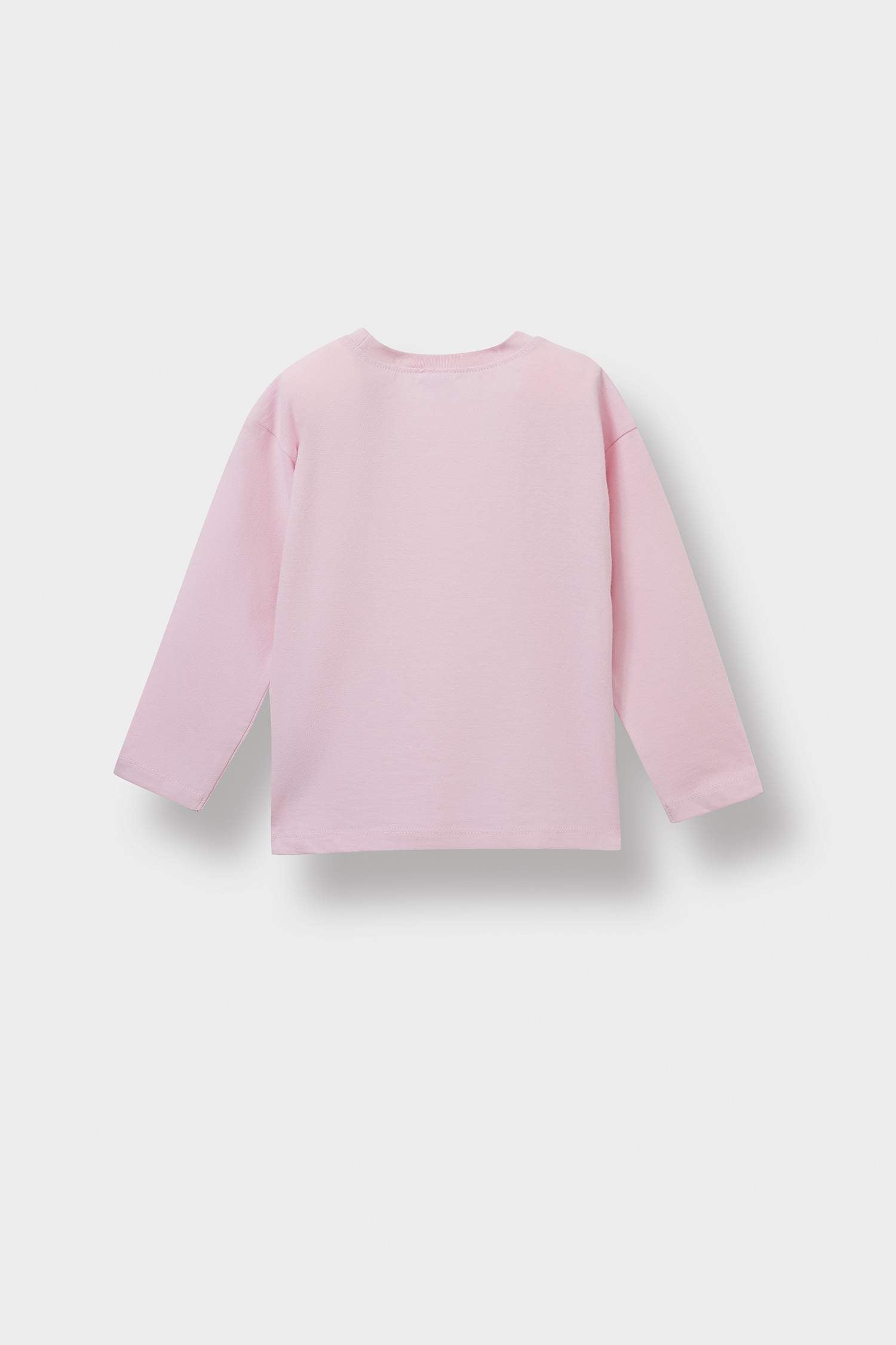 Baby Girl Crew Neck Long Sleeve T-Shirt