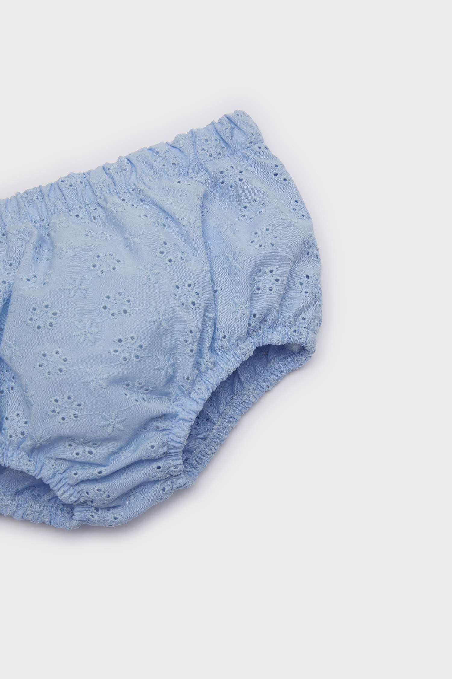 Baby Girl Floral Short Sleeve Brode Dress Panties 2 Piece Set