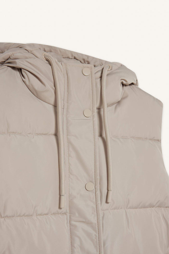 Regular Fit Hooded Zip-Up Puffer Vest Main Image