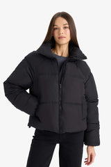 Waterproof Regular Fit Stand Collar Zippered Puffer Jacket