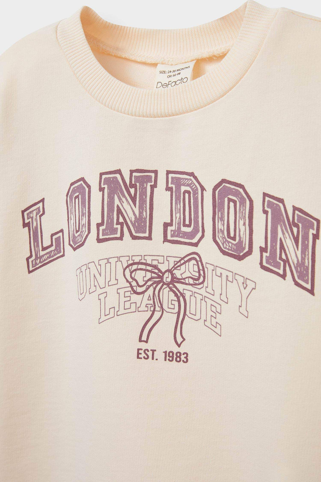 Baby Girl Crew Neck Printed Sweatshirt