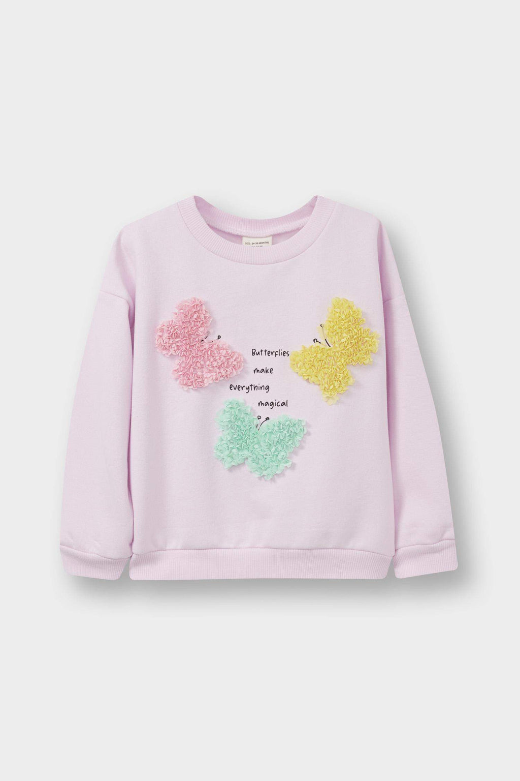 Baby Girl Crew Neck Printed Sweatshirt with Soft Furry Inside